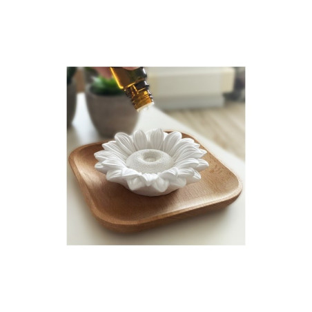 Diffuseur en plâtre Astelia
