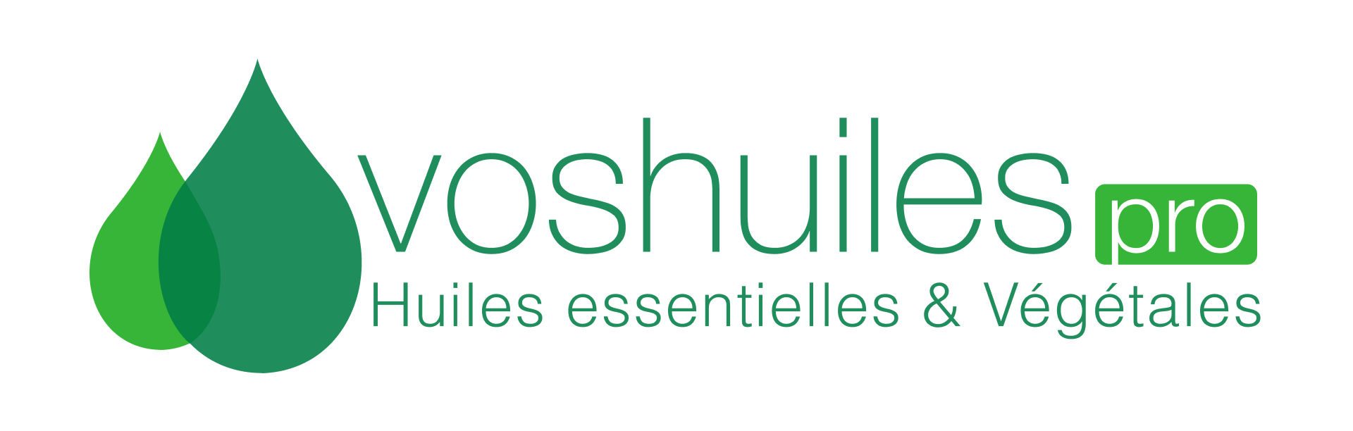 Voshuiles